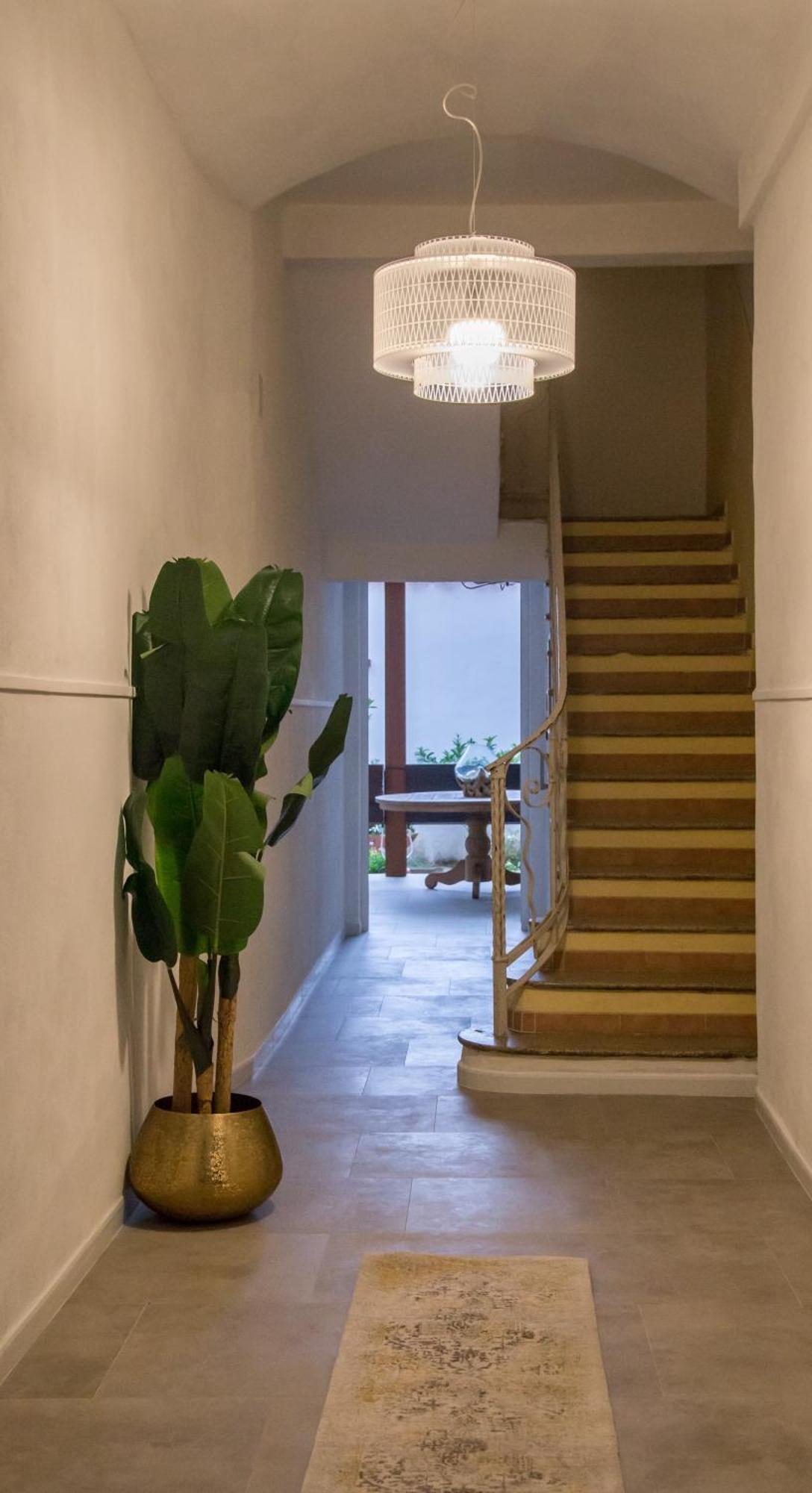 Amelia Apts &